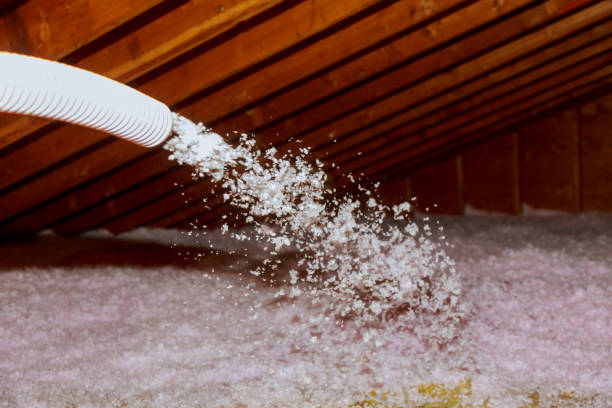 Best Insulation Inspection Services  in Binghamton University, NY