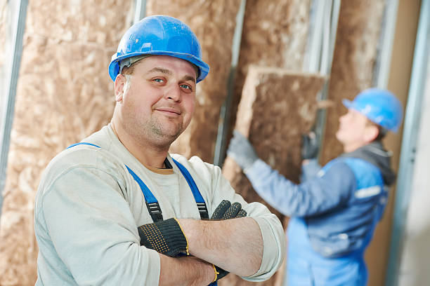 Best Cellulose Insulation  in Binghamton University, NY
