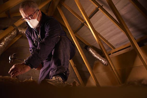 Best Insulation Replacement Services  in Binghamton University, NY